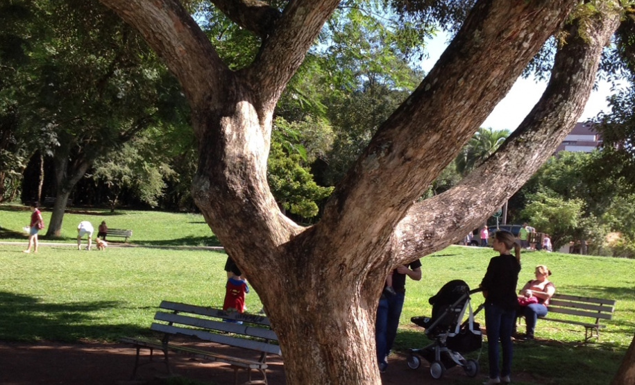 Inscrições ao “II Curso para Arborização Urbana”, em Umuarama, terminam em 02 de maio