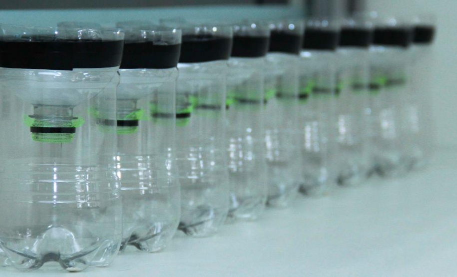 Servidor do Paranacidade/SEDU abre nova frente contra a dengue